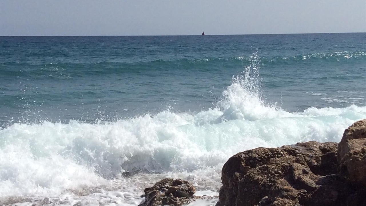Photo of Others in Puerto Rey