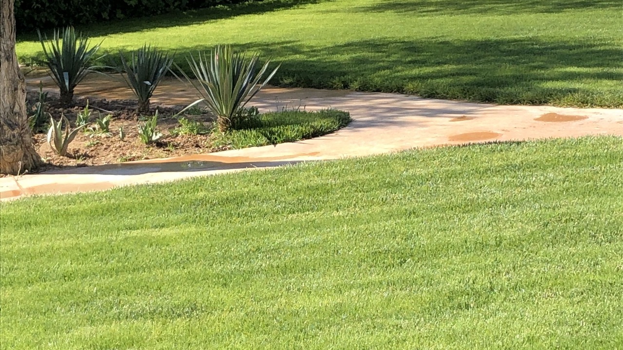 Photo of Outdoor in Villacanas