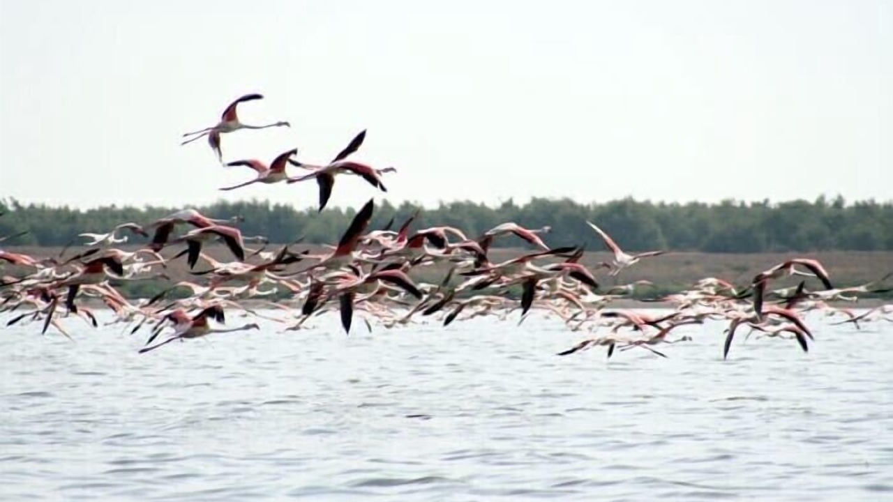 Photo of Others in Villacanas