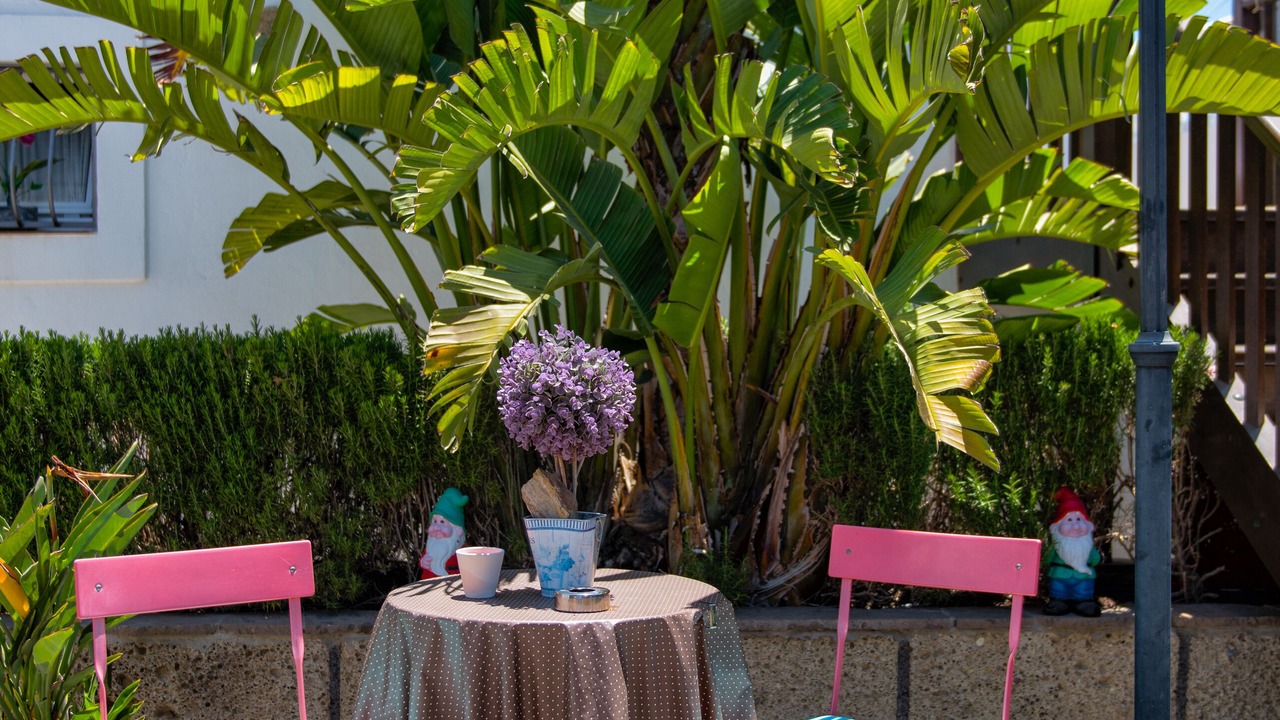 Photo of Outdoor in Los Gavilanes