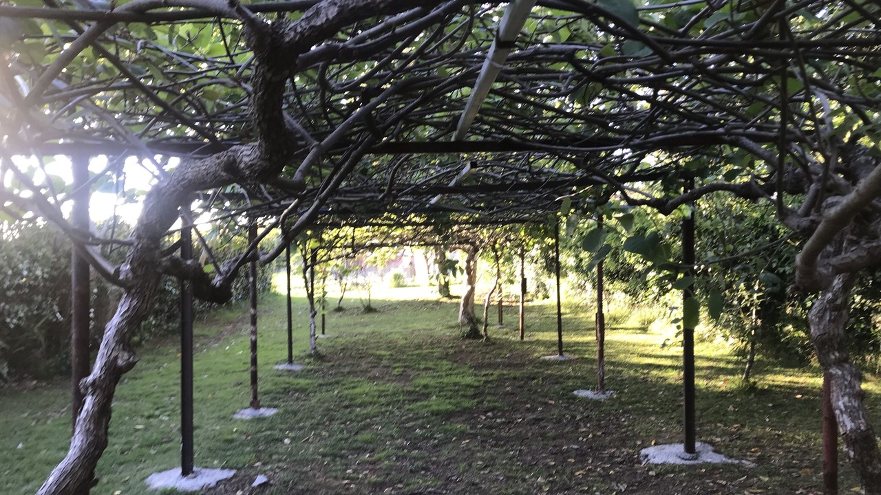 Photo of Outdoor in Cabanas
