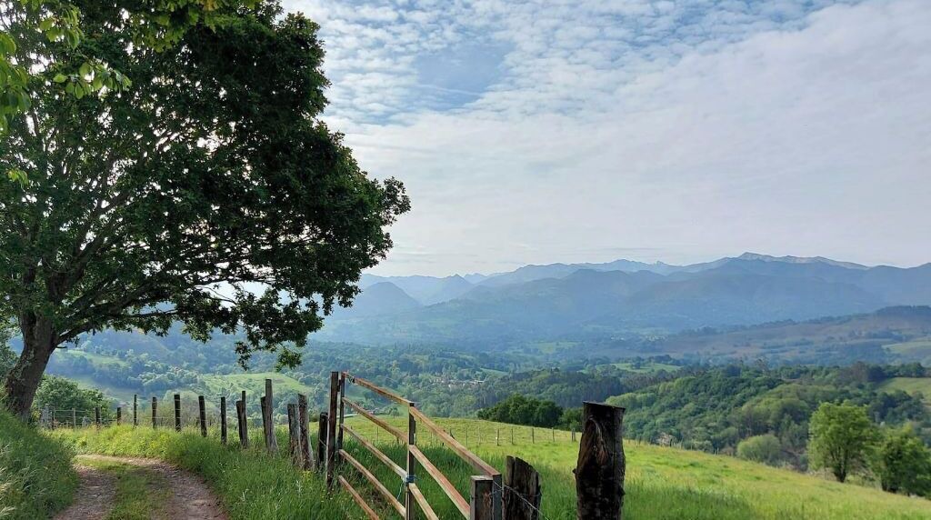 Photo of Outdoor in Vallobal