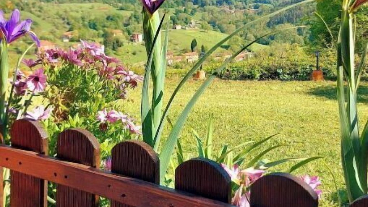 Photo of Outdoor in Vallobal