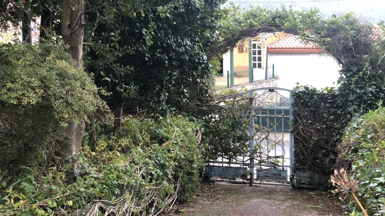 Photo of Outdoor in Cabanas