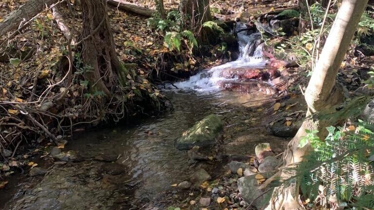 Photo of Outdoor in Arbucies