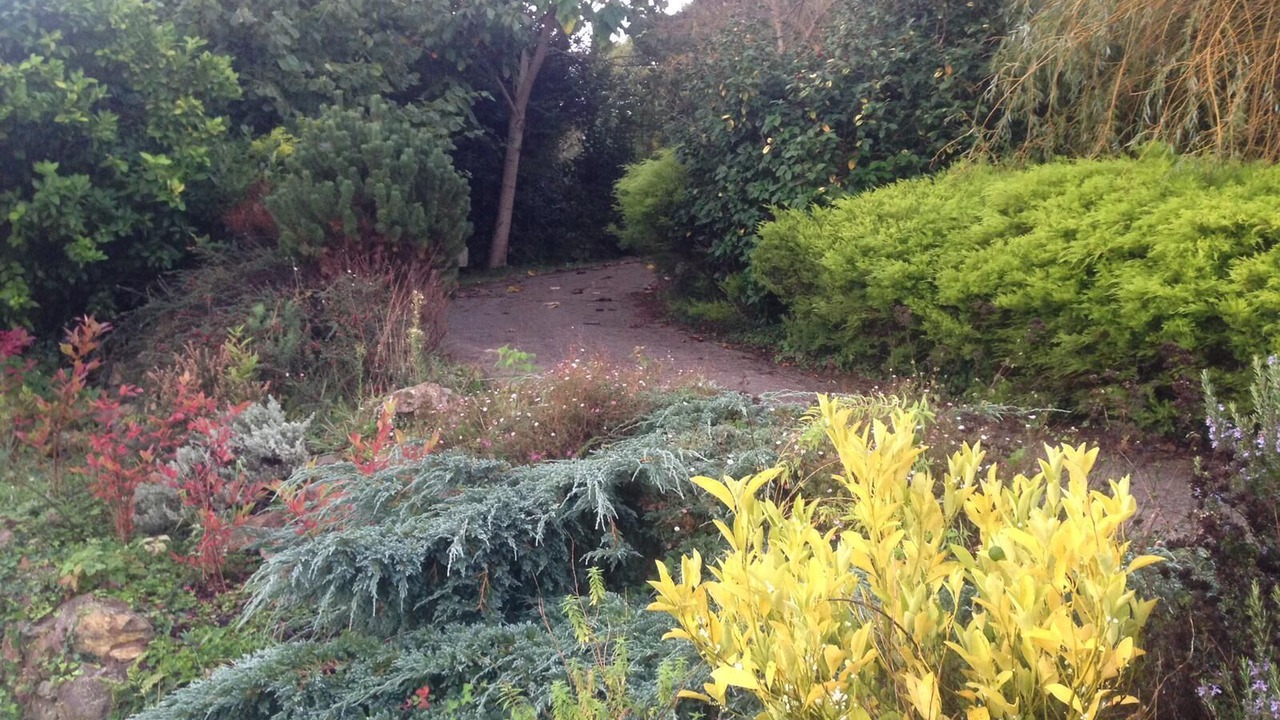 Photo of Outdoor in Mera de arriba