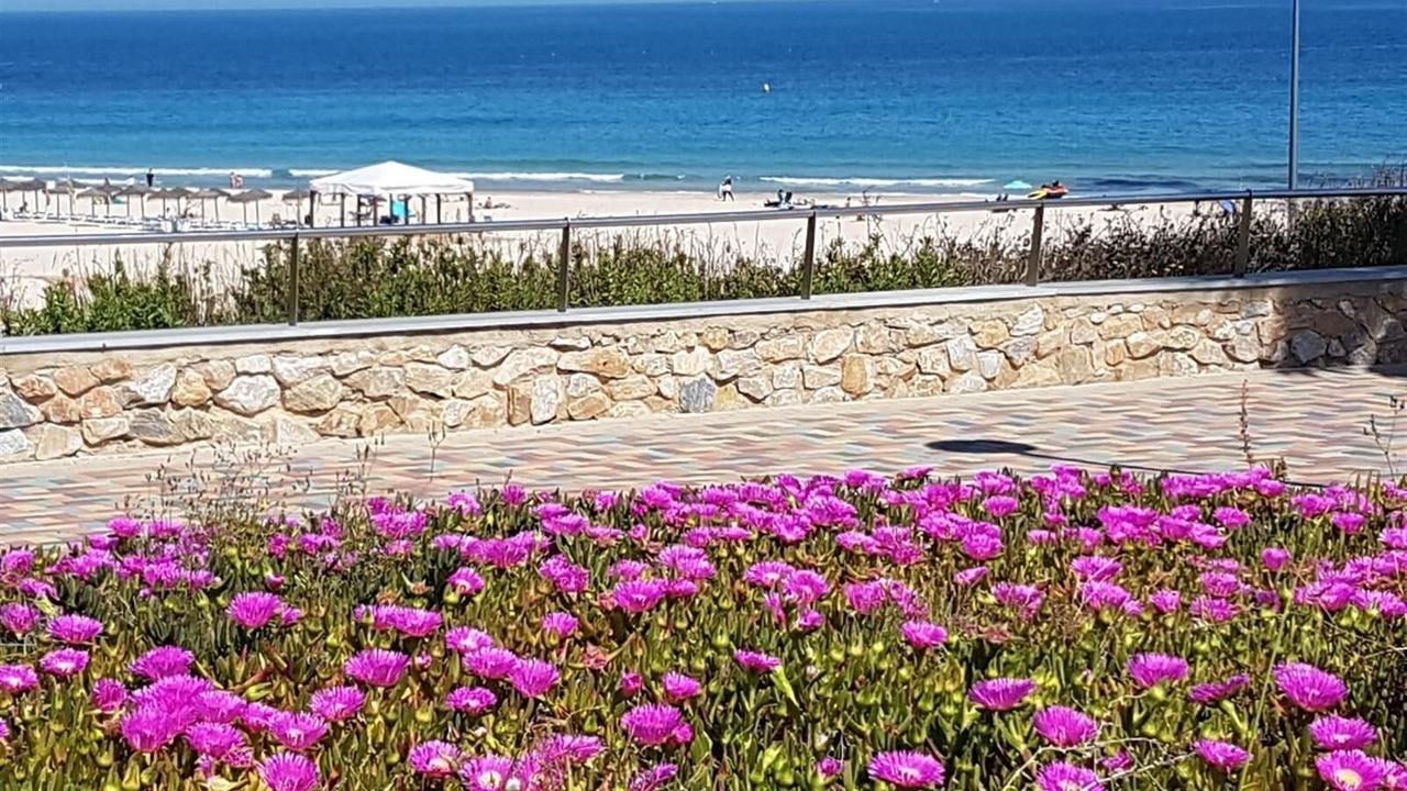 Photo of Others in Orihuela Costa