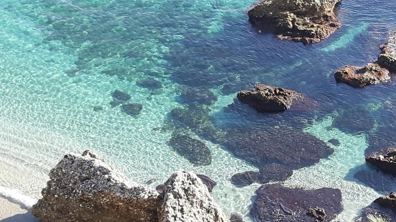 Photo of Others in Orihuela Costa