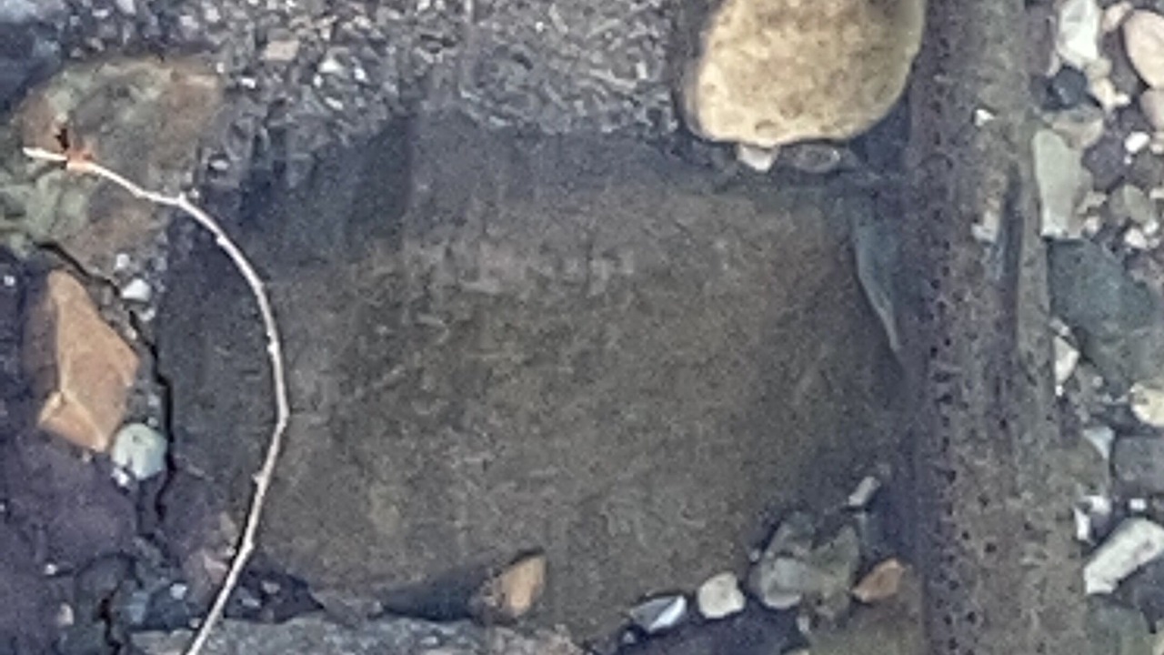 Photo of Others in Meruja