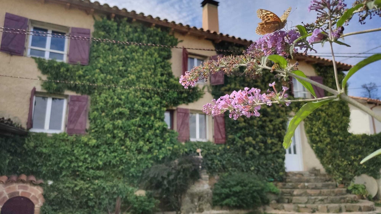 Photo of Outdoor in Otero de Bodas