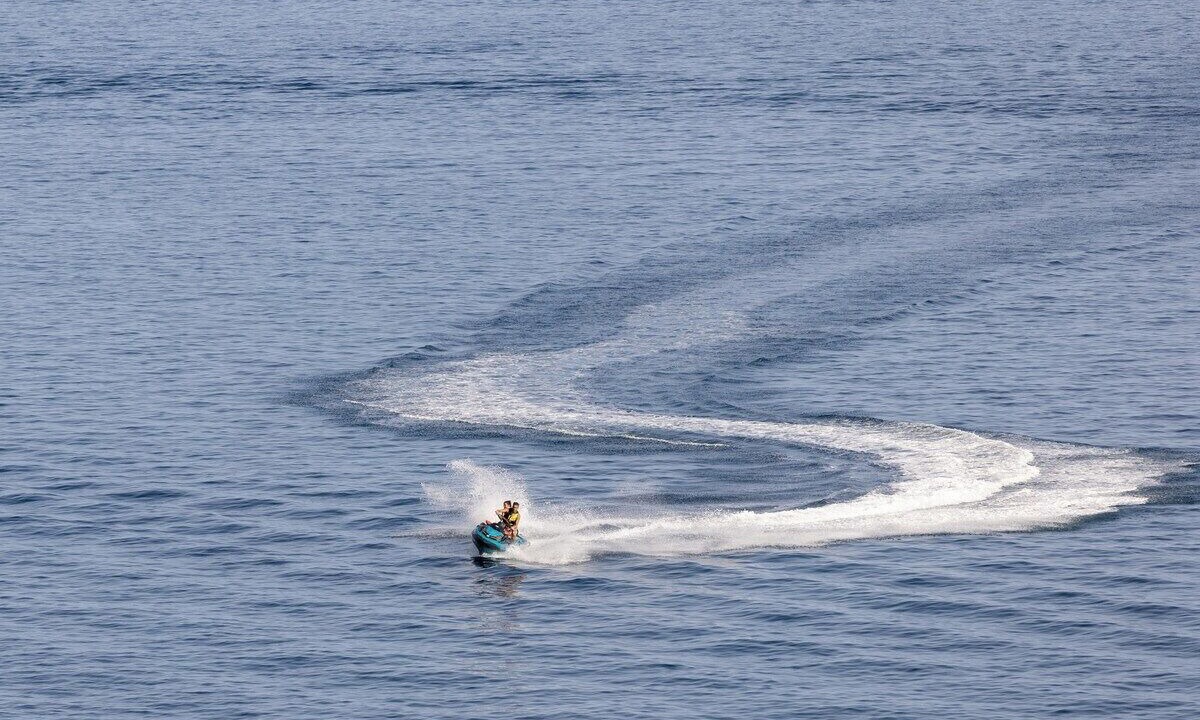 Photo of Others in Tabaiba