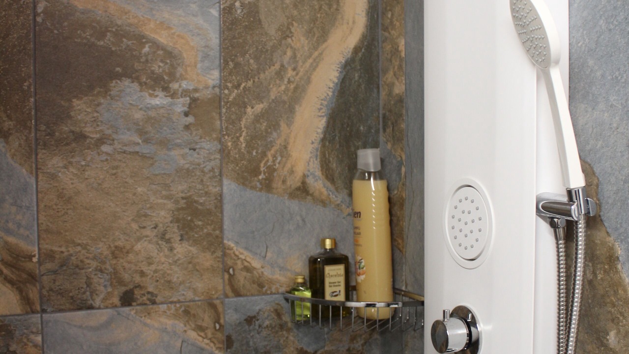 Photo of Bathroom in Valle de San Lorenzo