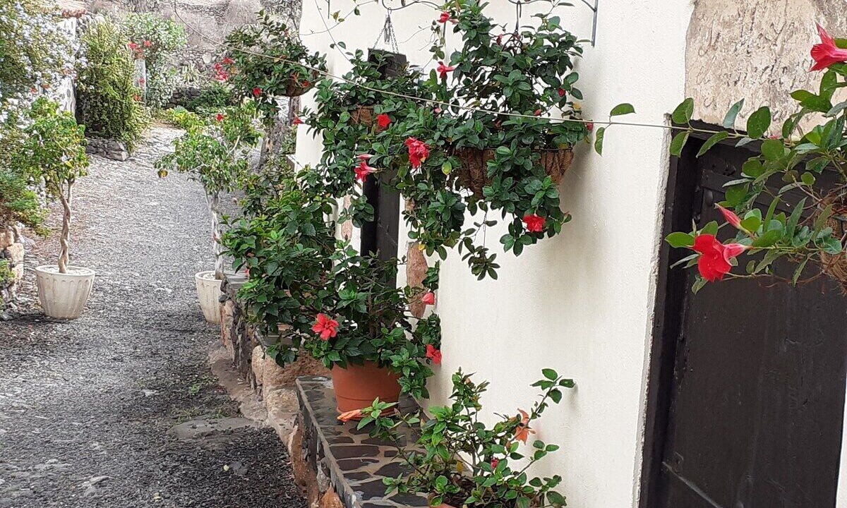 Photo of Outdoor in Valle de San Lorenzo