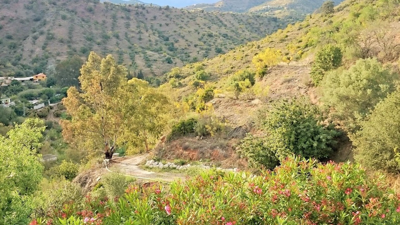 Photo of Others in Malaga-Este
