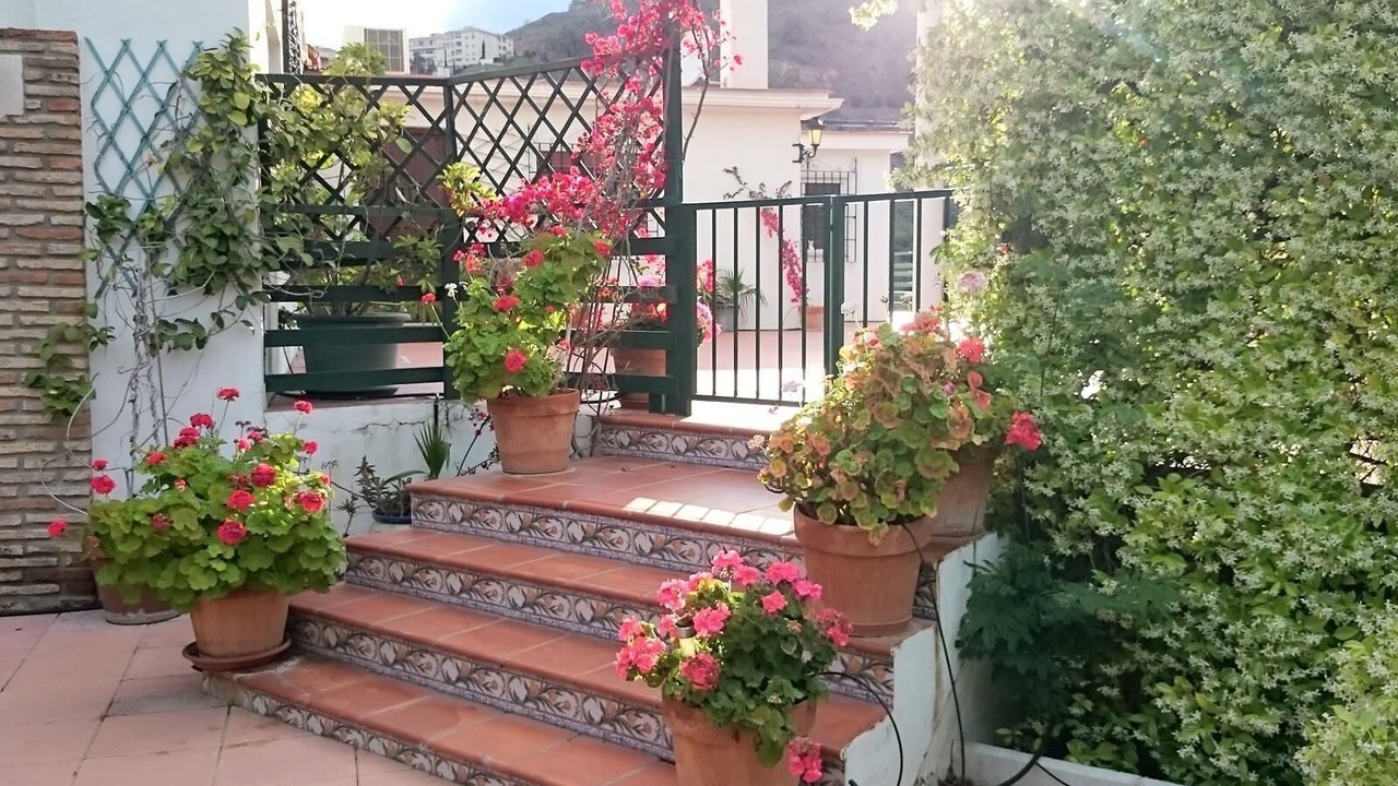Photo of Outdoor in Malaga-Este