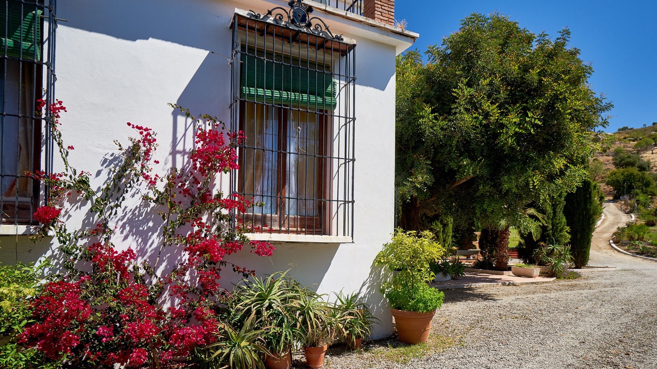 Photo of Outdoor in Malaga-Este