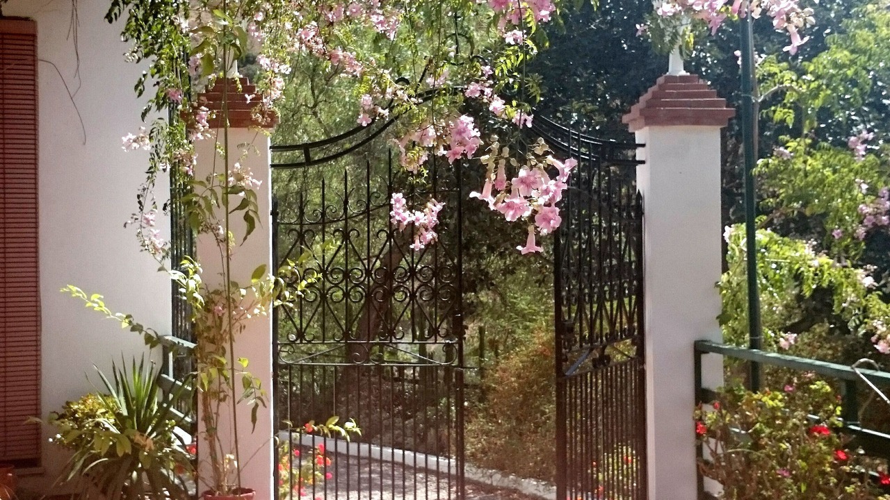 Photo of Outdoor in Malaga-Este