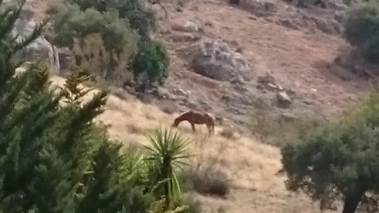 Photo of Others in Malaga-Este
