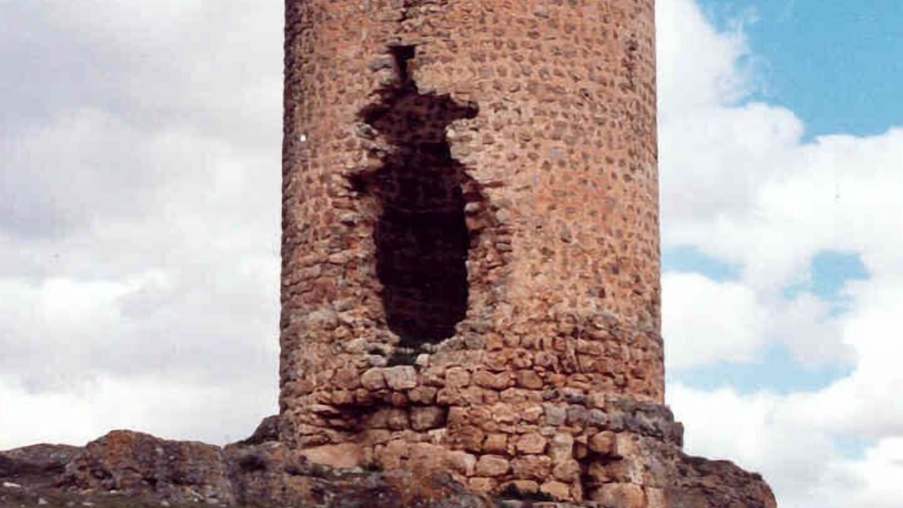 Photo of Others in Adradas