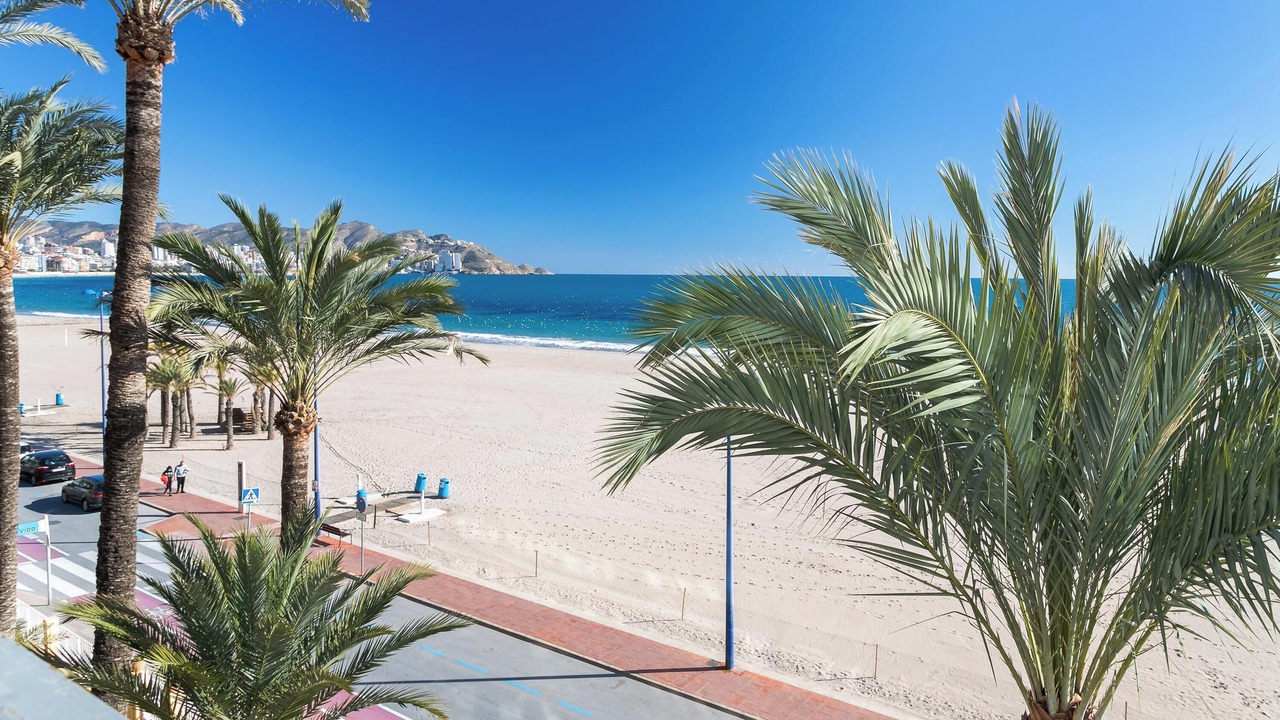 Photo of Others in Cala