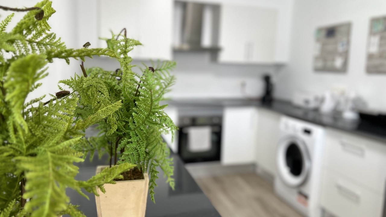 Photo of Kitchen in Arafo