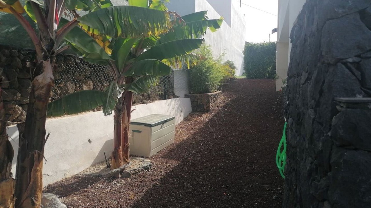 Photo of Outdoor in Candelaria