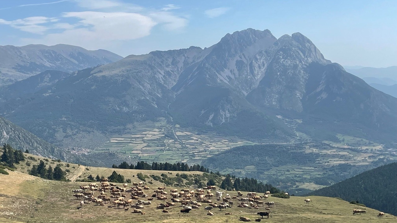 Photo of Others in Saldes
