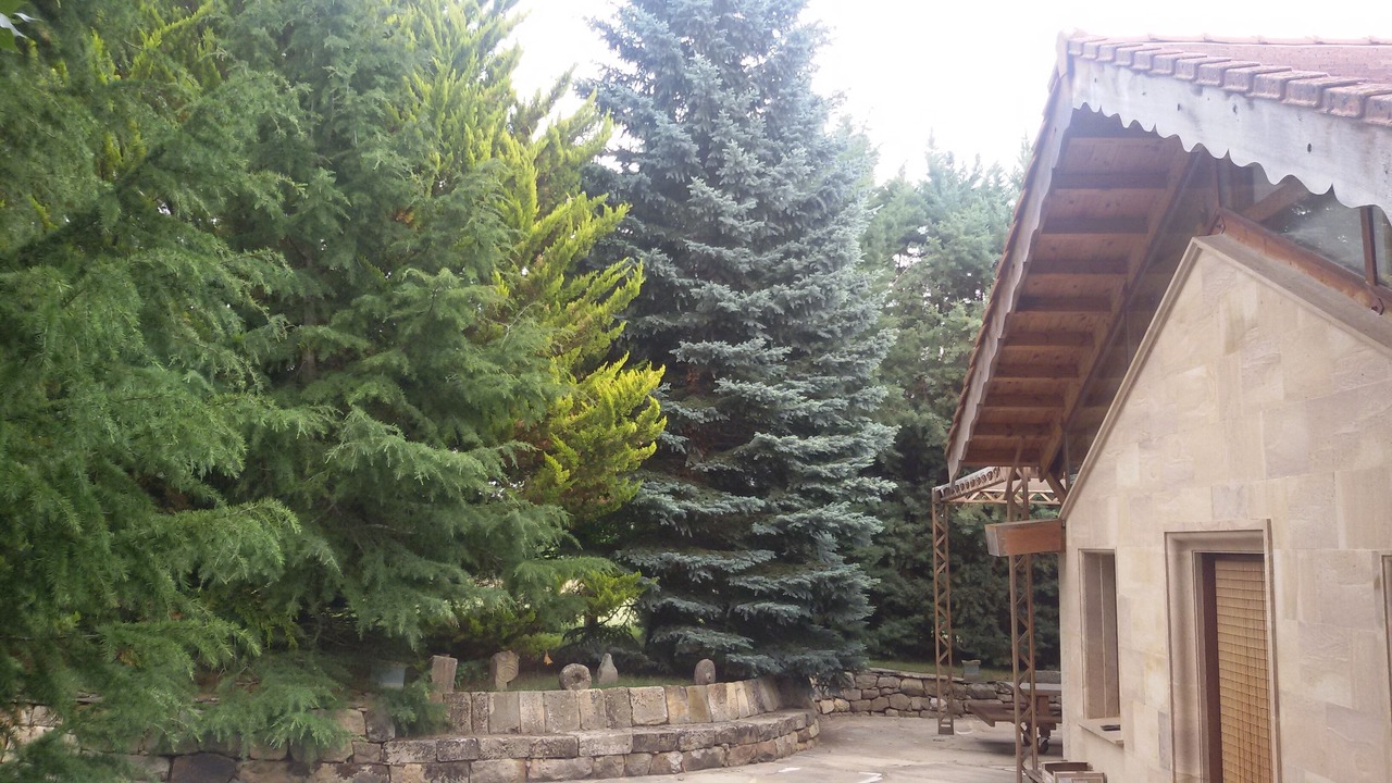 Photo of Outdoor in Ocenilla