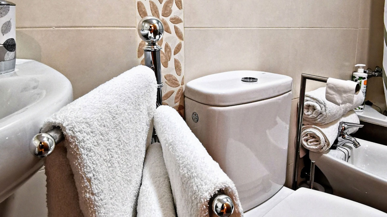 Photo of Bathroom in Viguera