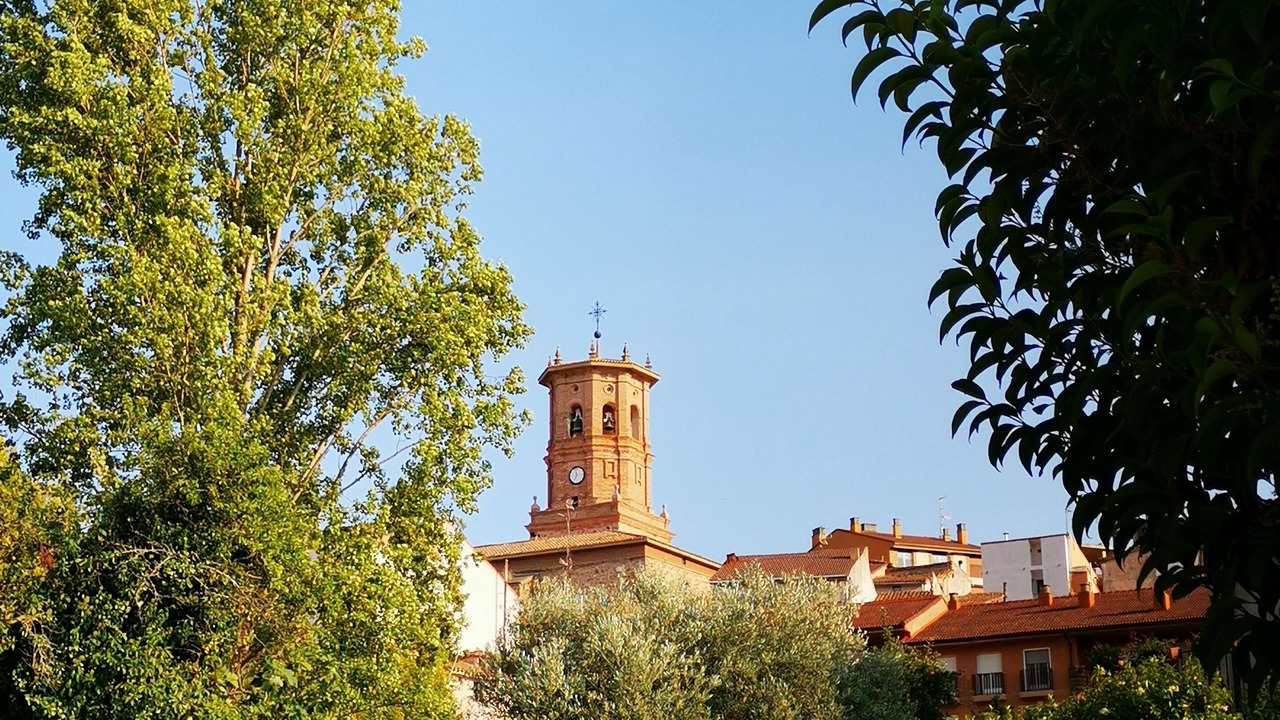 Photo of Others in Viguera