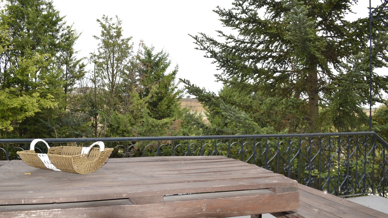 Photo of Outdoor in Palencia