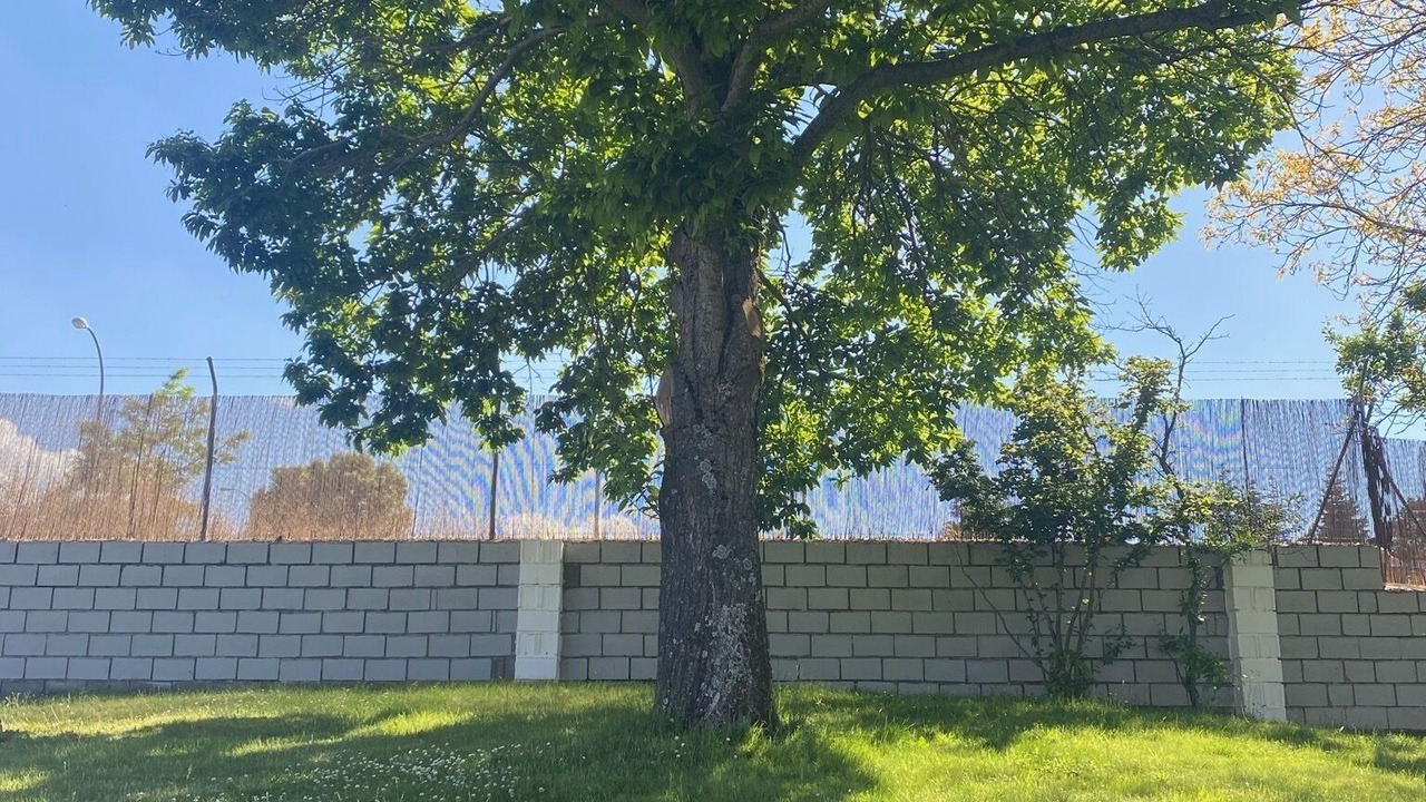 Photo of Outdoor in El Espinar