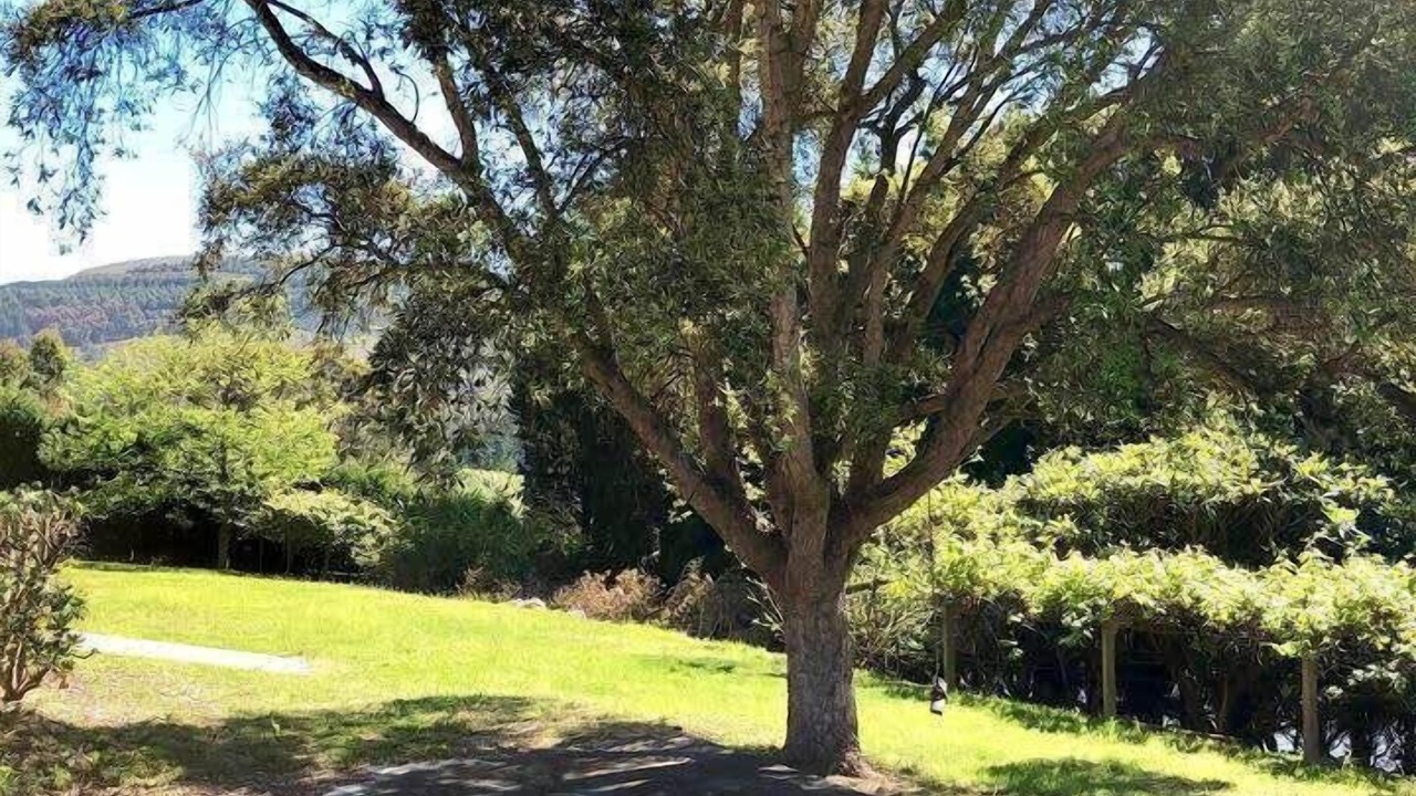 Photo of Outdoor in Ortigueira