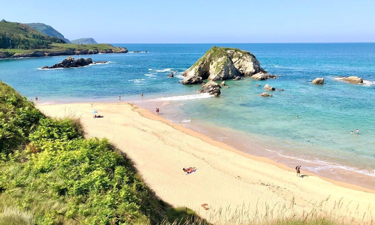 Photo of Others in Viveiro