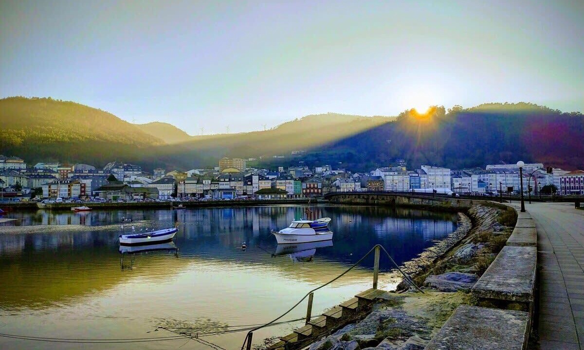 Photo of Others in Viveiro
