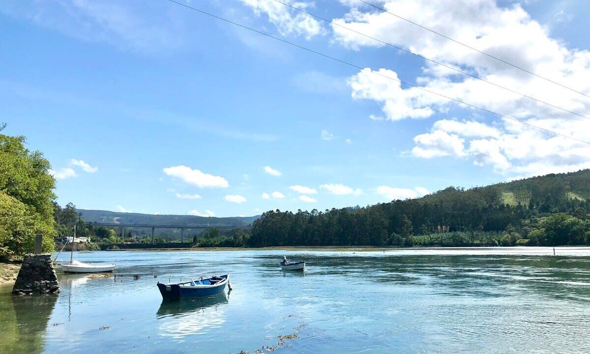 Photo of Others in Viveiro