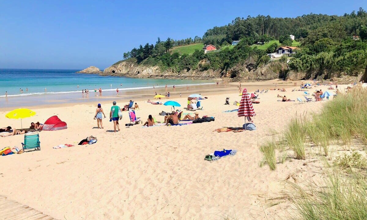 Photo of Others in Viveiro