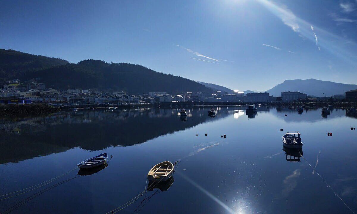 Photo of Others in Viveiro