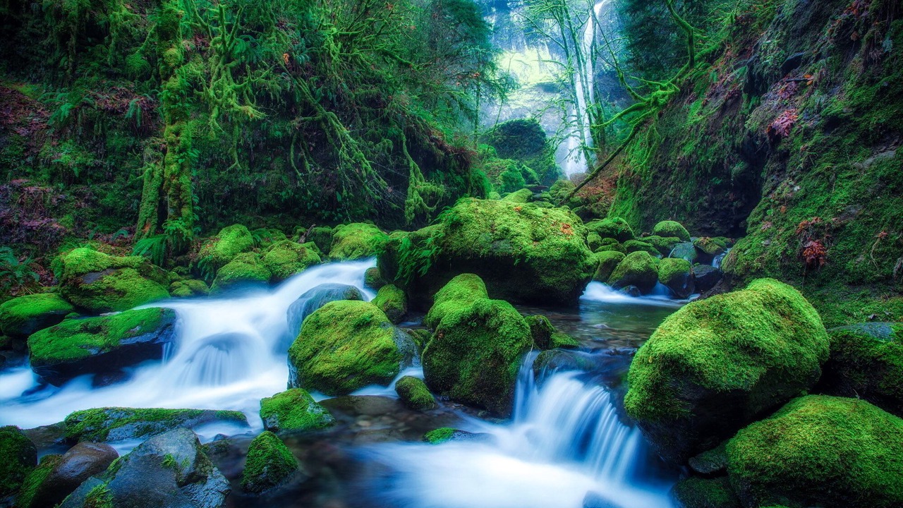 Photo of Outdoor in Aronces
