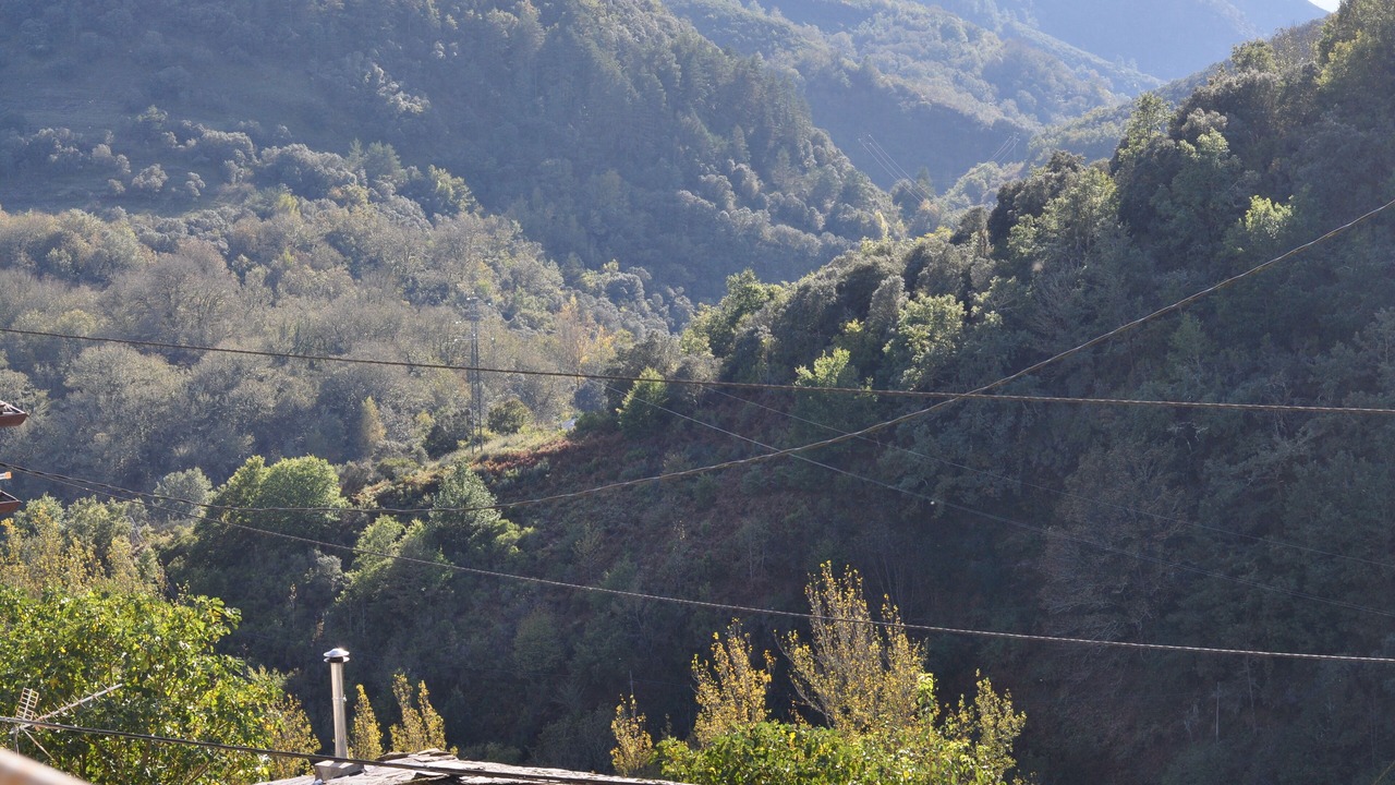 Photo of Others in Seoane