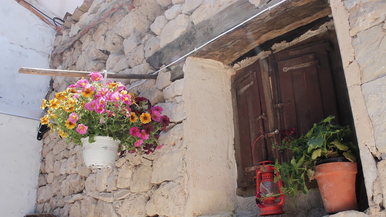 Photo of Outdoor in Castrillo Del Val