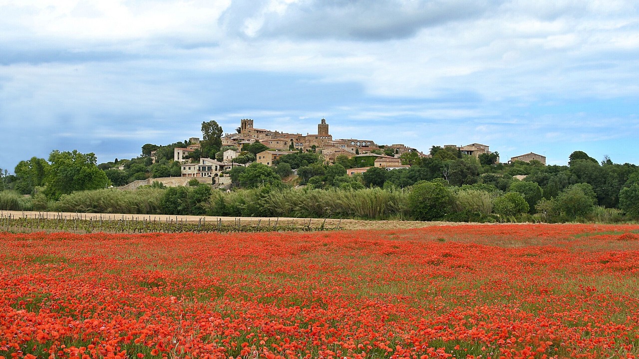 Photo of Others in Begur