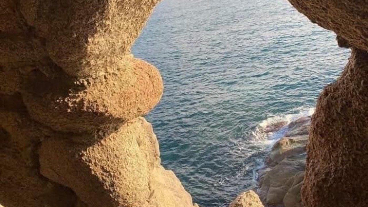 Photo of Others in Lloret Town Center