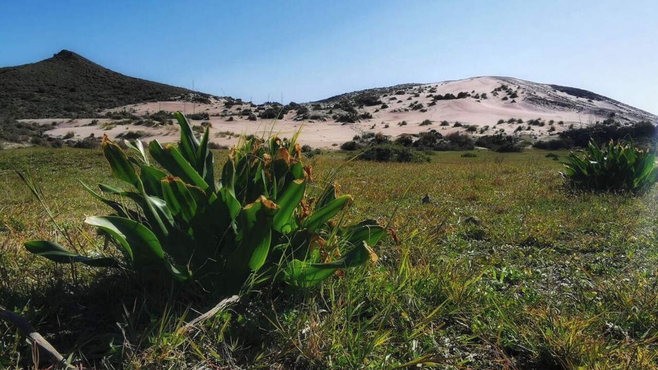 Photo of Outdoor in Fernan Perez
