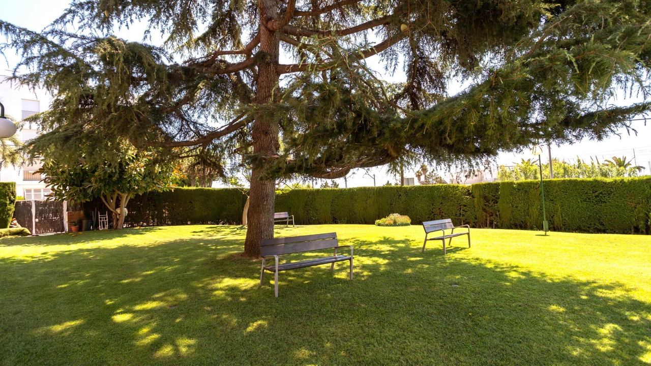 Photo of Outdoor in Sant Andreu de Llavaneres