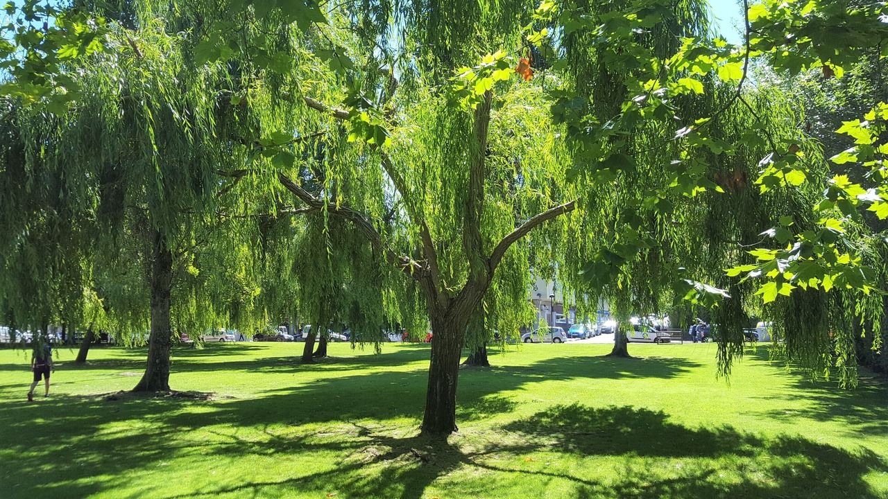 Photo of Outdoor in Camposeiras