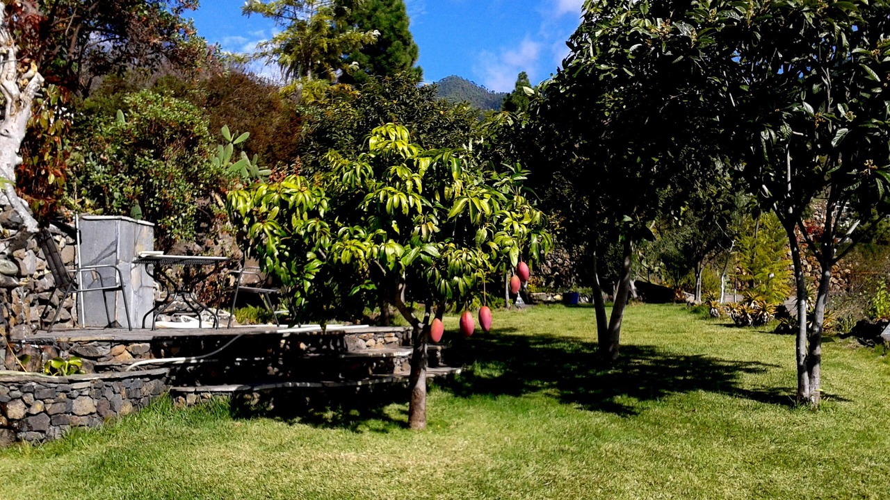 Photo of Outdoor in El Jesus
