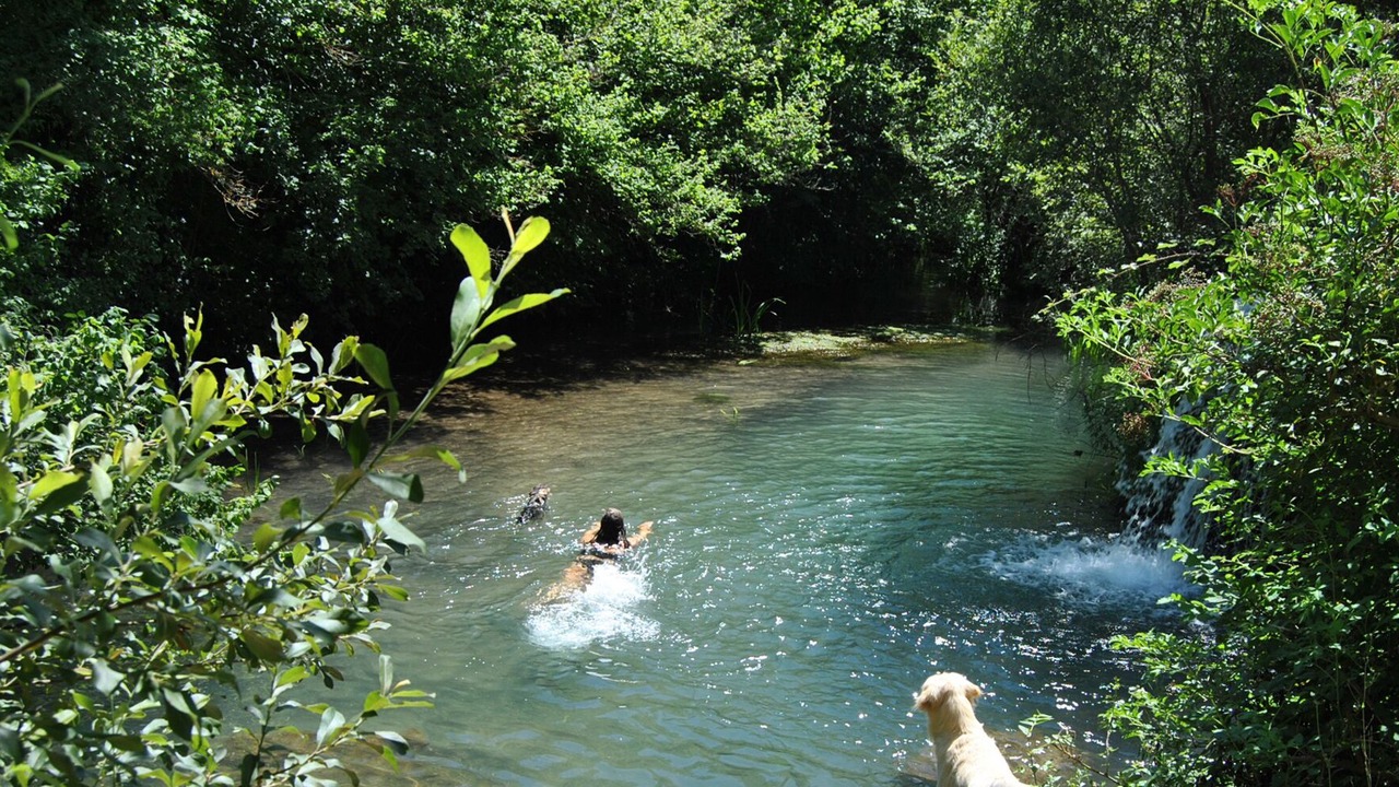 Photo of Others in Diputacion de Rincon de San Gines