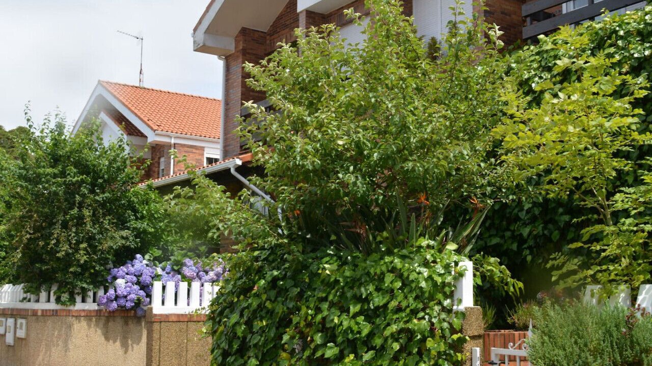 Photo of Outdoor in Arnuero