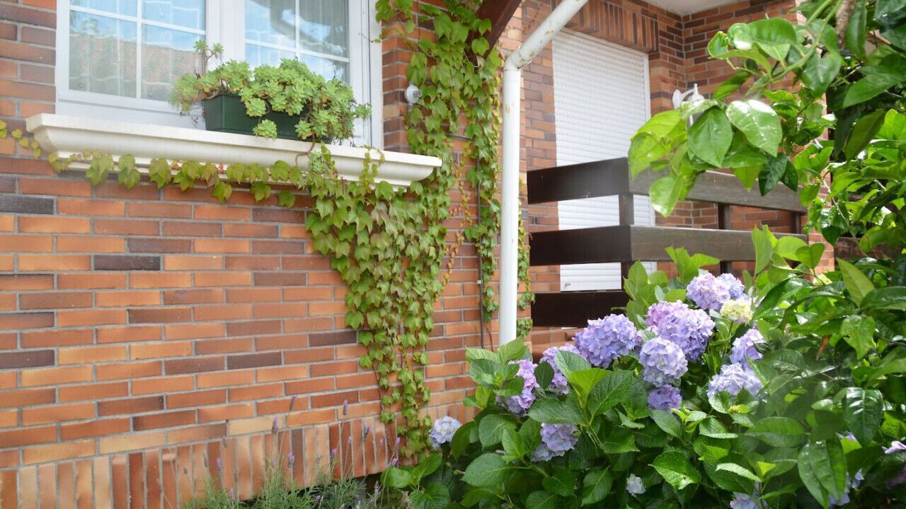 Photo of Outdoor in Arnuero